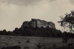fleckenstein1