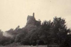 fleckenstein2