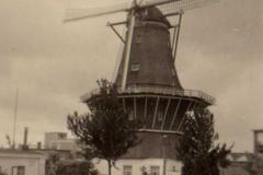img084