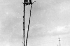 1959-Kohlenbach1