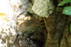 img412