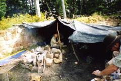 img450
