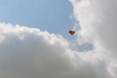 121_2195_IMG