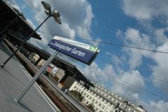 DSC_00331209