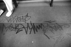 DSC_00431215-bw