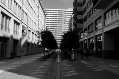 DSC_00611232-bw
