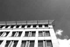 DSC_00621233-bw