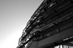 DSC_01231282-bw