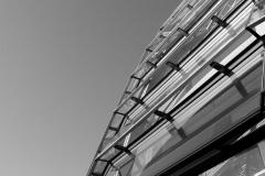 DSC_01241283-bw