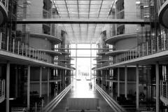 DSC_01361294-bw
