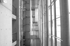 DSC_01431300-bw