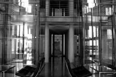 DSC_01471303-bw