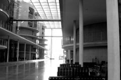 DSC_01491304-bw