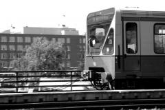 DSC_01841338-bw