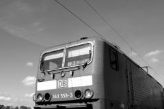 DSC_01871340-bw