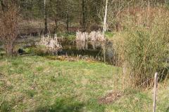 IMG_3454