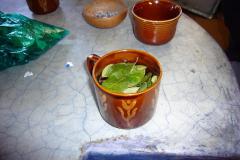 P1000149