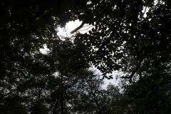 P1012343