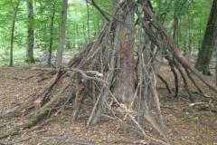 Wandern2009-634