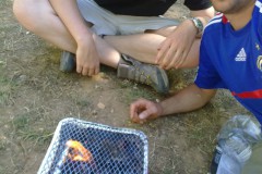 bild191