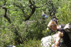 img_6002