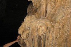 img_6020