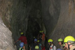 img_6071