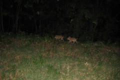 img_6581