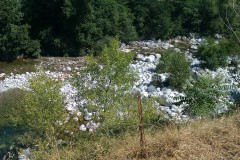 IMAG0829