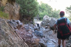 IMAG0834