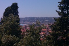 IMAG0841