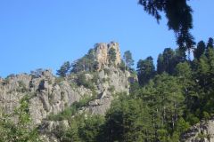 P1050276