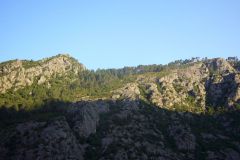 P1050278