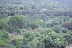 P1050281