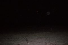 P1050286