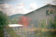 IMG_1669