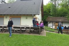 handy-1-412