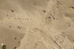 10628057_970775066281735_3782502578269159833_n