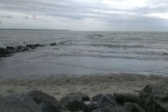 2014-09-01-16.11.58