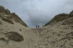 2014-09-01-16.51.16