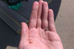 2014-09-02-14.33.58