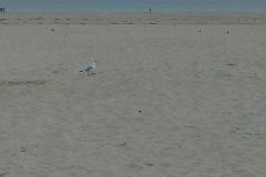 2014-09-04-17.39.17