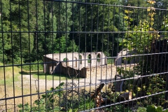 20150731_173857