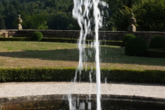 IMG_4537